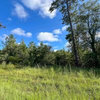 10 Acres T-6 FM 1013 CR 517 287052 images 5