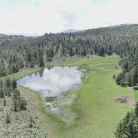 Pinherio Ranch images 1
