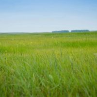 The Dillon Ranch images 3