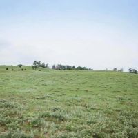 The Dillon Ranch images 4