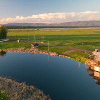 Island Ranch images 4