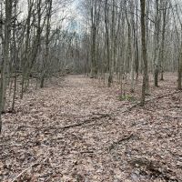 Heyer Rd. Somerset County - 49 acres images 3