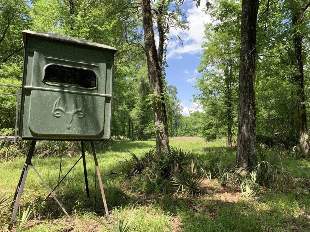 Opossum Bayou High Fence Tract Concordia Parish 1536 Acres - featured image