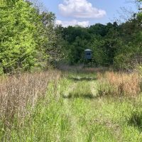 Opossum Bayou High Fence Tract Concordia Parish 1536 Acres - images 2