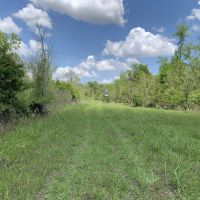 Opossum Bayou High Fence Tract Concordia Parish 1536 Acres - images 3