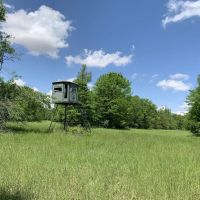 Opossum Bayou High Fence Tract Concordia Parish 1536 Acres - images 4