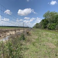 Opossum Bayou High Fence Tract Concordia Parish 1536 Acres - images 5
