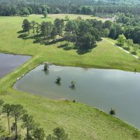 887 Acres in Smuteye images 4