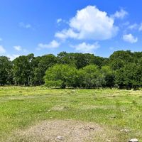 Wharton Tract 6 43 Acres Only 15K Down images 3