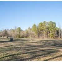 96.7 Acres in Tallahatchie County in Cascilla MS images 3