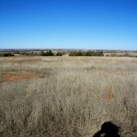 Pasture Land along I35