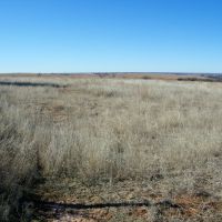 Pasture Land along I35 images 3