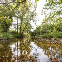 210 Acres Adjoining the Mark Twain National Forest images 2