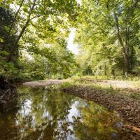 210 Acres Adjoining the Mark Twain National Forest images 3