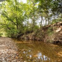 210 Acres Adjoining the Mark Twain National Forest images 4