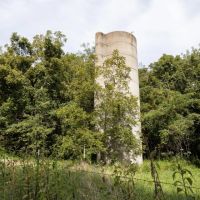 210 Acres Adjoining the Mark Twain National Forest images 5
