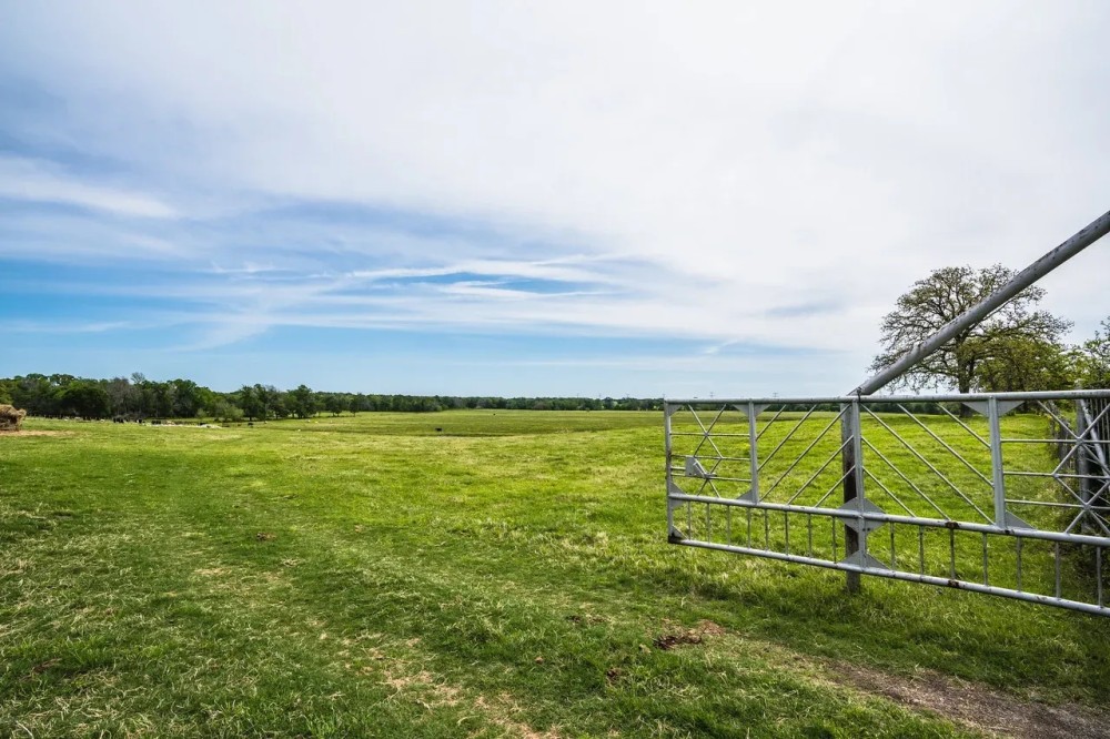 Steele Creek Cattle Ranch- 108 AC in Robertson County featured image