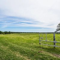 Steele Creek Cattle Ranch- 108 AC in Robertson County