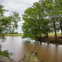 Steele Creek Cattle Ranch- 108 AC in Robertson County images 3
