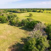 Steele Creek Cattle Ranch- 108 AC in Robertson County images 4