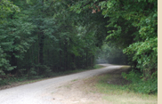 7,000 acre, Gooch WMA waterfowl hunting land in Trimble, TN