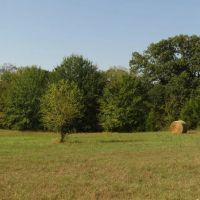 Recreational Hunting Mecca Close To Hugo Dam Kiamichi River Choctaw County OK 9 AC images 4