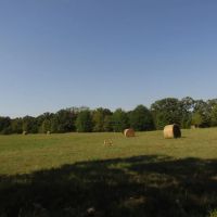 Recreational Hunting Mecca Close To Hugo Dam Kiamichi River Choctaw County OK 9 AC images 5