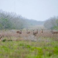 O W Ranch images 4
