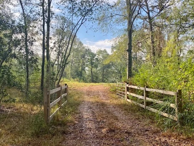 221 Acres of Premium Hunting Pike Co. featured image