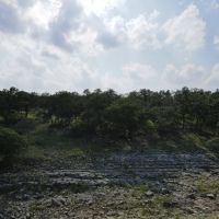 Kensing Road Ranch images 5