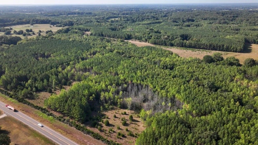 Chickasaw County - 140- Acres -Pines on the Prairie- Turkey Heaven featured image