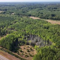 Chickasaw County - 140- Acres -Pines on the Prairie- Turkey Heaven