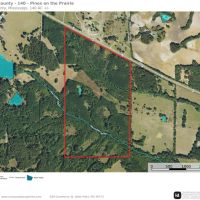 Chickasaw County - 140- Acres -Pines on the Prairie- Turkey Heaven images 2