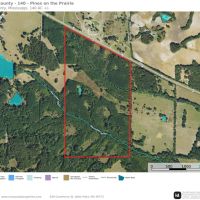 Chickasaw County - 140- Acres -Pines on the Prairie- Turkey Heaven images 3