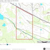 Chickasaw County - 140- Acres -Pines on the Prairie- Turkey Heaven images 4