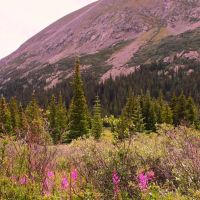 Alpine adventure images 2