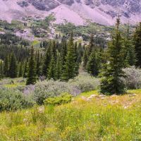 Alpine adventure images 3
