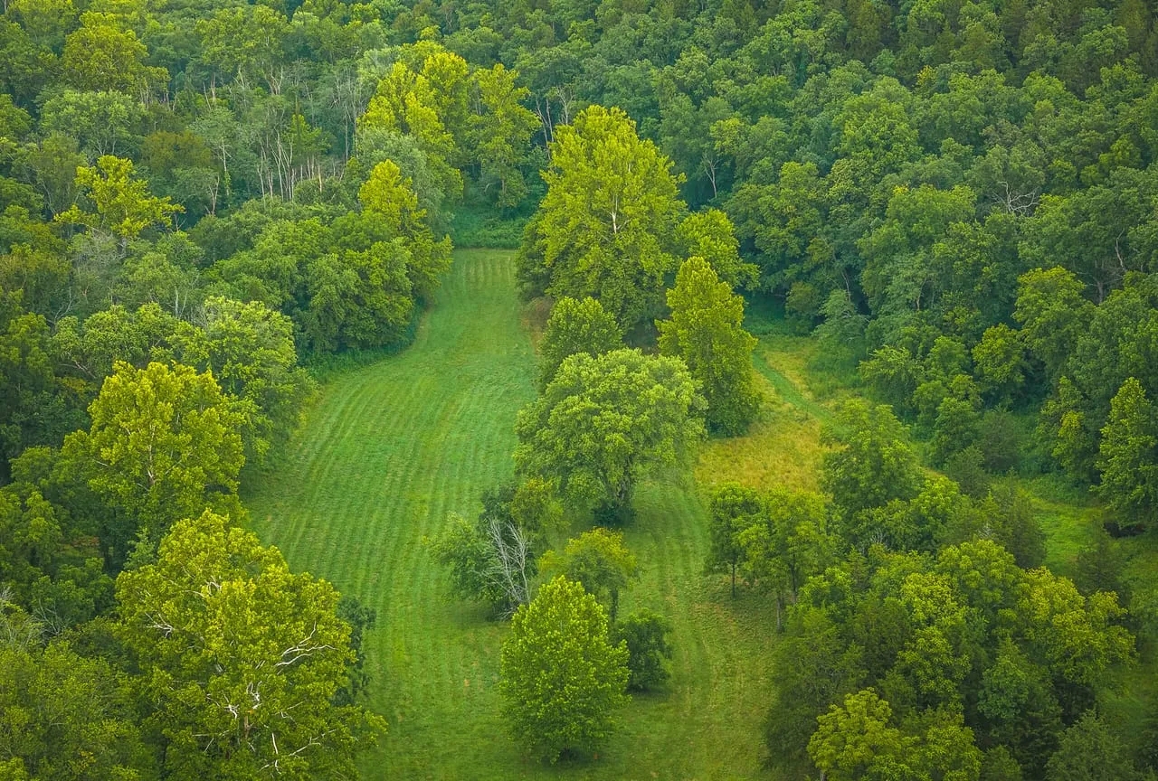 The Little Piney 160 Hunting Land for Sale