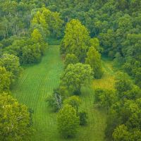 The Little Piney 160 images 2