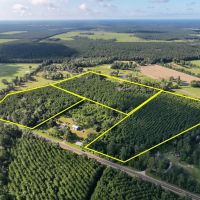 11 Acres T-3 FM 1013 287052