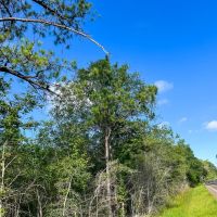 11 Acres T-3 FM 1013 287052 images 2