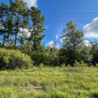 11 Acres T-3 FM 1013 287052 images 5