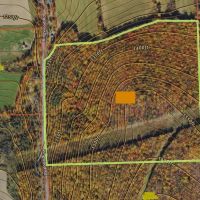 76 acres Wooded Hunting and Recreational Property in Dryden NY Ringwood Rd in the Finger Lakes Region images 4