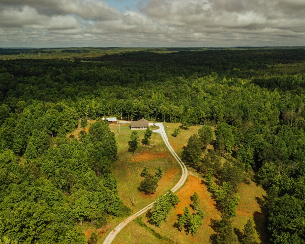 34.14 Acres with a Home in Union County MS featured image