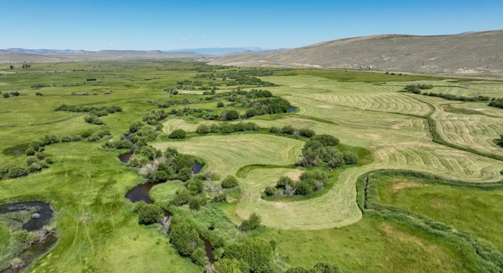 Pleasant View Ranch featured image