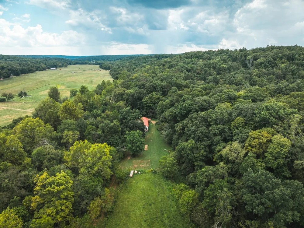 Hazel Creek Mini Farm featured image
