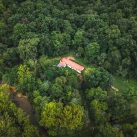 Hazel Creek Mini Farm images 2