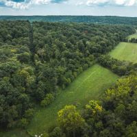 Hazel Creek Mini Farm images 3