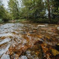 Hazel Creek Mini Farm images 4