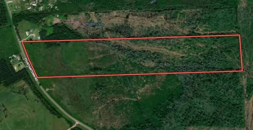57.31 Acres of Unrestricted Recreational and Rural Residential Land for Sale in Duplin County NC featured image